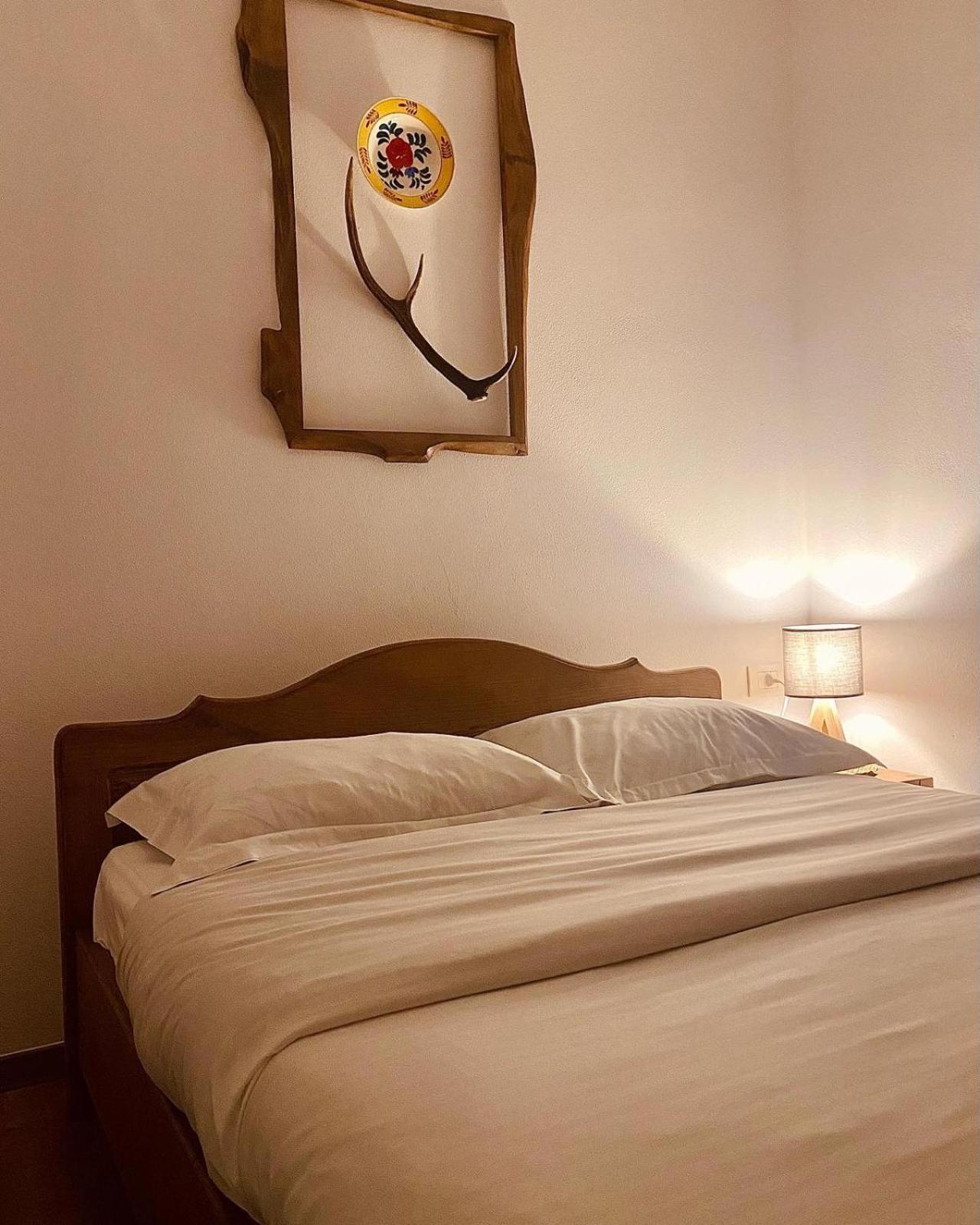 Cabana Elena Borşa Εξωτερικό φωτογραφία